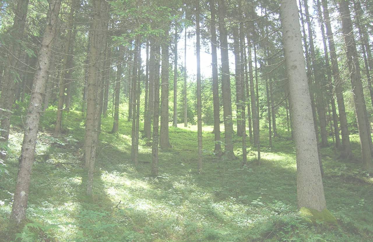 Hintergrundbild